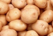 В Беларуси заканчивается картофель