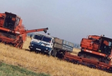 В Пензенской области на 14% вырос объем производства сельхозпродукции